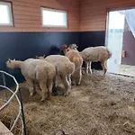 Gyttja Vaestergards Gasthof Nauvo