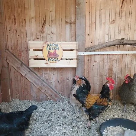 Casa de hóspedes Gyttja Vaestergards
