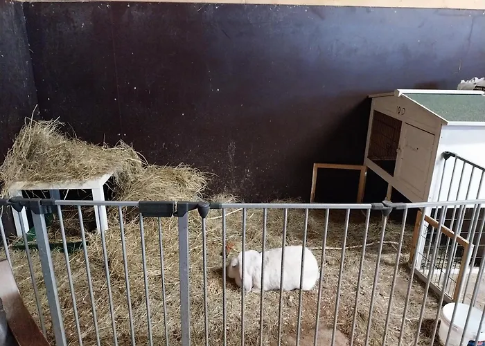 Gyttja Vaestergards Nauvo