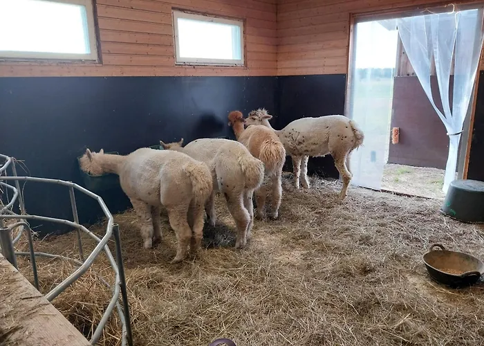 Gyttja Vaestergards Guesthouset Nauvo